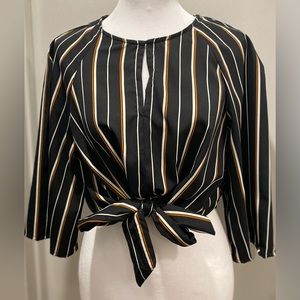 Japna Black, Tan, White Vertical Striped Half-Sleeve Crop Top With Front Tie